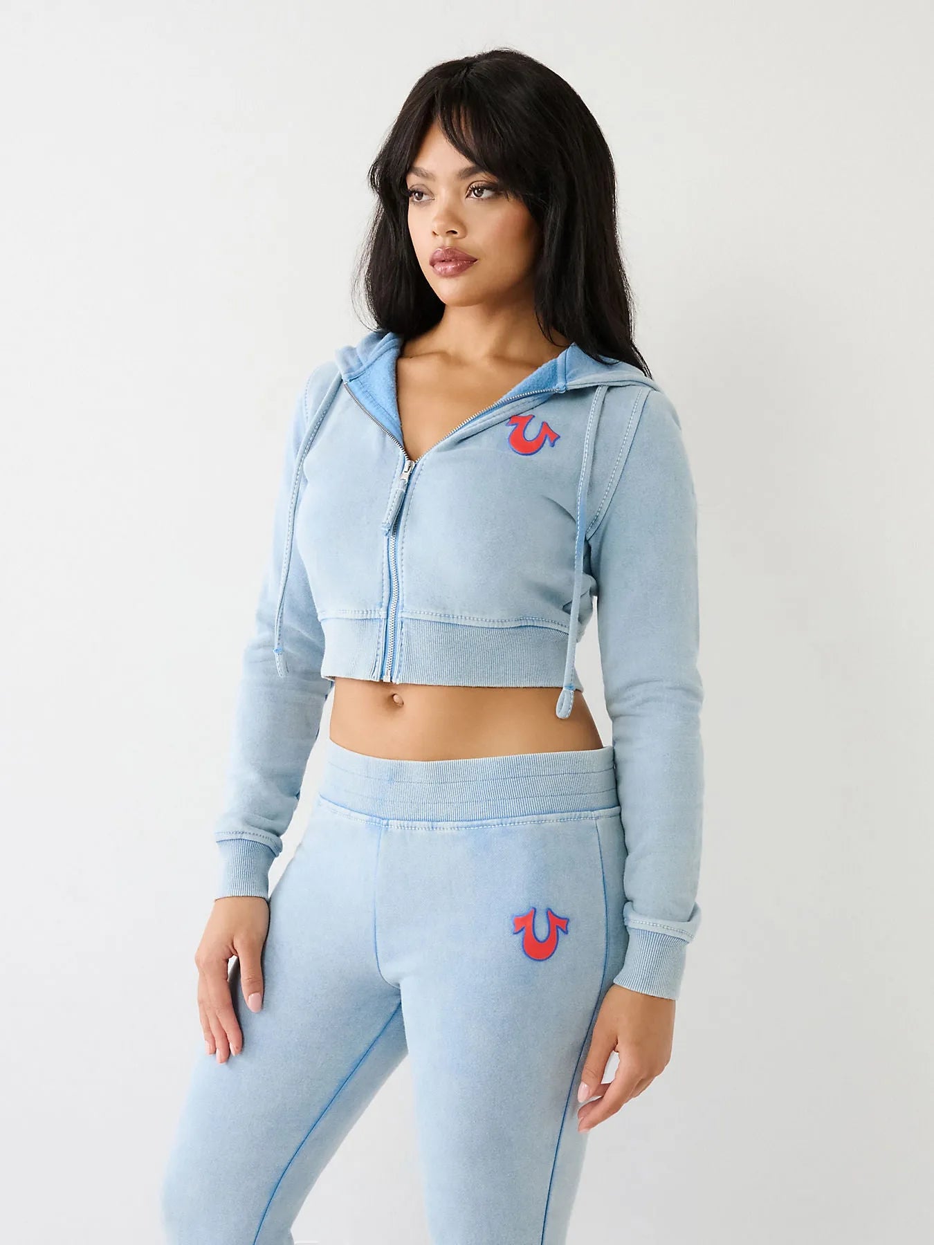 SHRUNKEN ZIP UP HOODIE BIG T