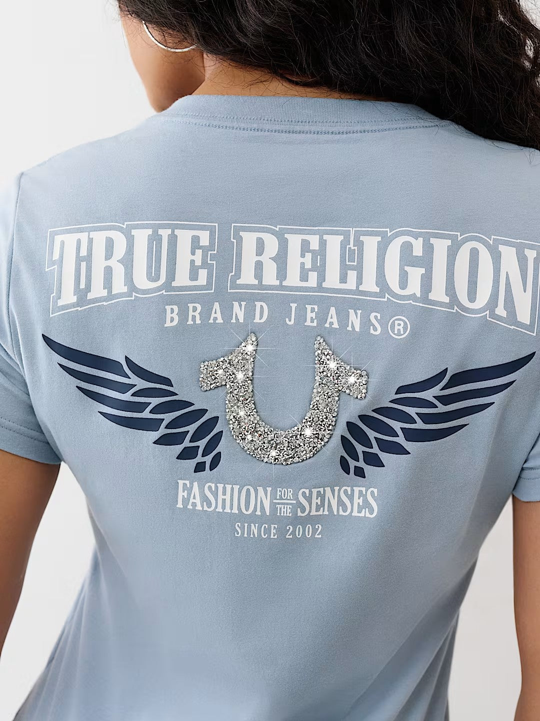CRUSHED HS WING VNECK TEE