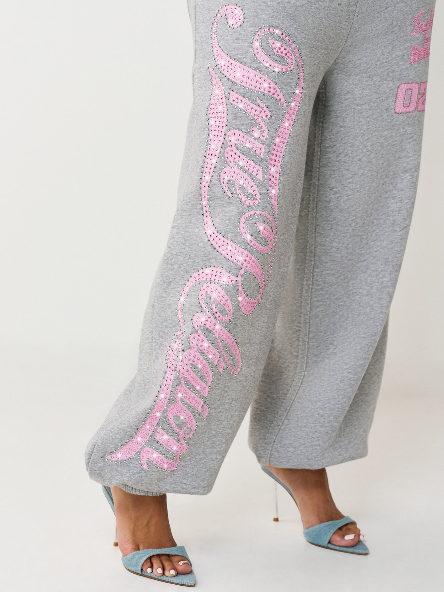 BIG T CRYSTAL BAGGY JOGGER