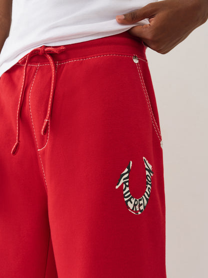 HS PAINT BAGGY BIG T SWEATS